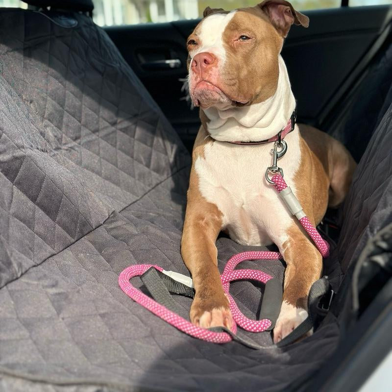 Waterproof Dog Car Seat Cover for Back Seat – Nonslip, Dual Leash Seatbelt Attachments, Hammock-Style Protector for Pet Safety & Comfort
