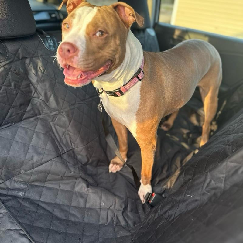 Waterproof Dog Car Seat Cover for Back Seat – Nonslip, Dual Leash Seatbelt Attachments, Hammock-Style Protector for Pet Safety & Comfort